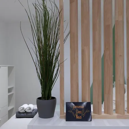 ※perrier Menthe※ Hyper-centre Et Tranquillité Appartement