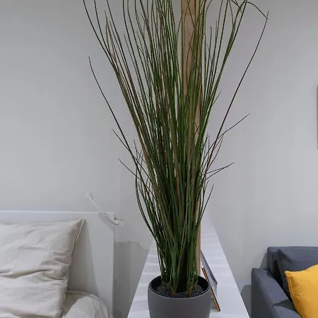 Apartamento ※perrier Menthe※ Hyper-centre Et Tranquillite *