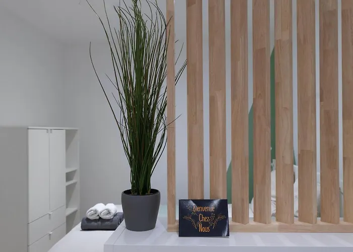 ※perrier Menthe※ Hyper-centre Et Tranquillite Apartment