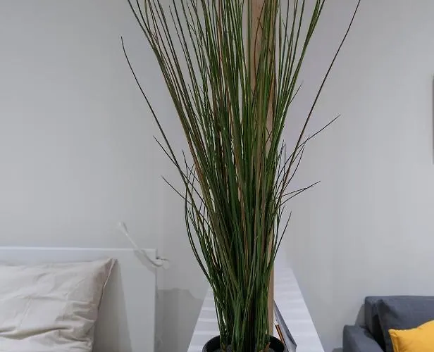 Apartment ※perrier Menthe※ Hyper-centre Et Tranquillite *